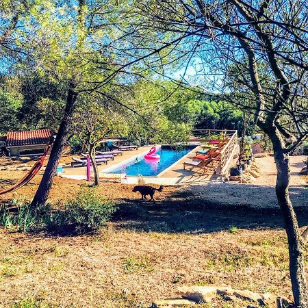 Arche De Noe Atypique, Boheme , Nature, Piscine Chauffee De Paques A Toussaint , Spa , Sauna , Loisirs Le Beausset Eksteriør bilde