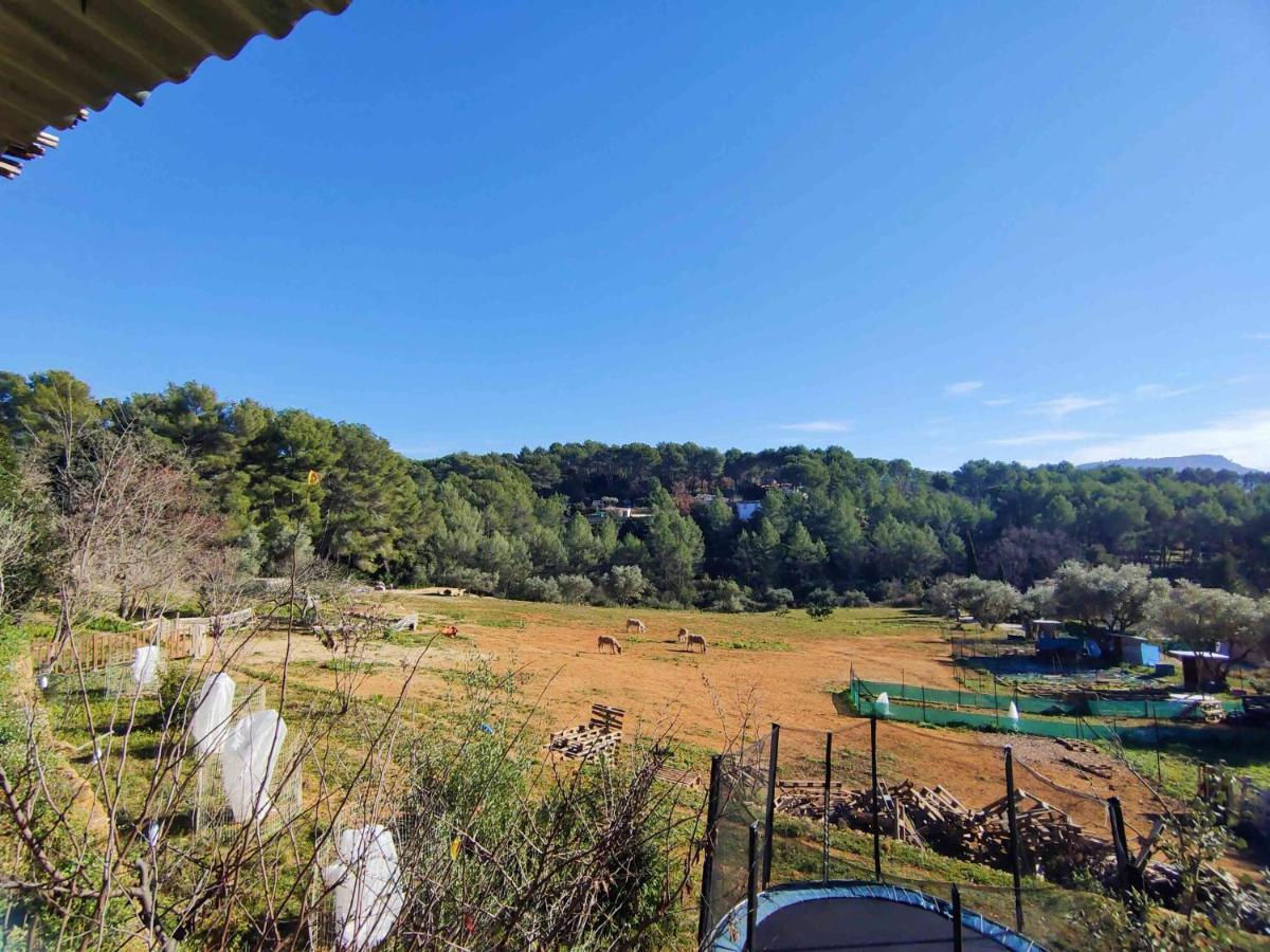 Arche De Noe Atypique, Boheme , Nature, Piscine Chauffee De Paques A Toussaint , Spa , Sauna , Loisirs Le Beausset Eksteriør bilde