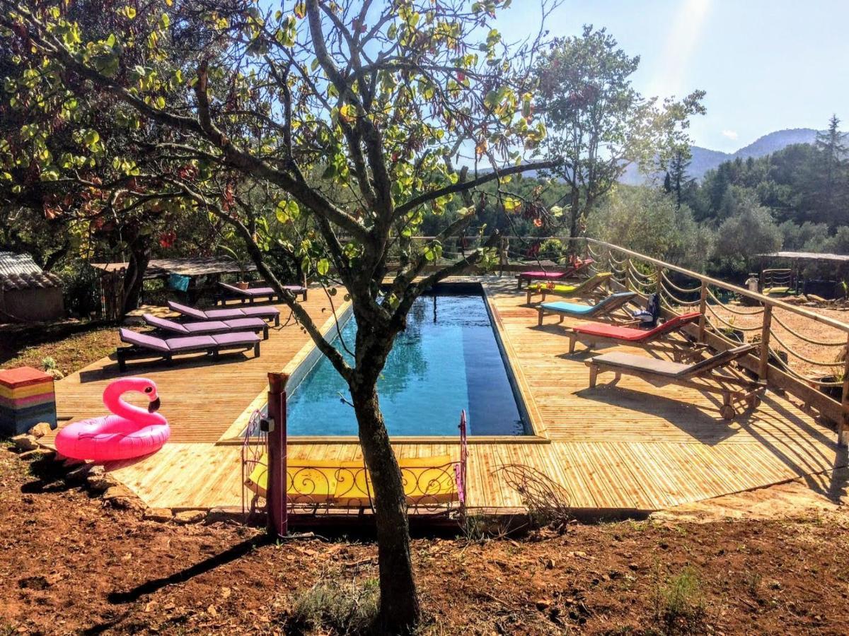 Arche De Noe Atypique, Boheme , Nature, Piscine Chauffee De Paques A Toussaint , Spa , Sauna , Loisirs Le Beausset Eksteriør bilde