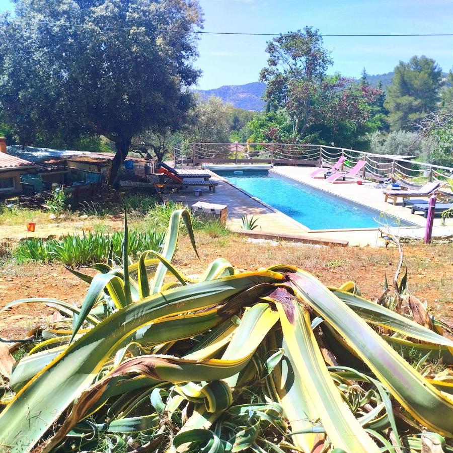 Arche De Noe Atypique, Boheme , Nature, Piscine Chauffee De Paques A Toussaint , Spa , Sauna , Loisirs Le Beausset Eksteriør bilde